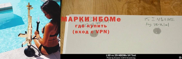 прущие грибы Аркадак