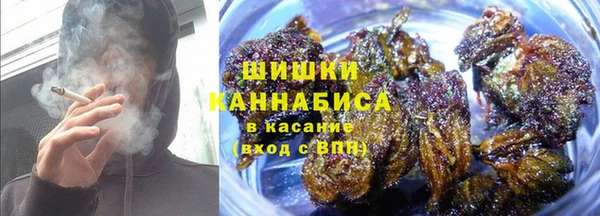 прущие грибы Аркадак