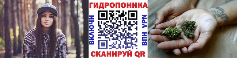 Купить где  Волгореченск  МАРИХУАНА конопля 